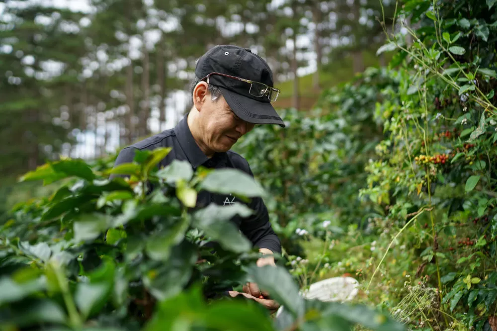 Direct trade and local agriculture